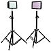 Julius Studio 160LED Camera Light Kit, including (2)Ultra High Power 160 LED Video Light Panel Digital Camera DSLR Camcorder LED Video Light (2)28 Inch Tall Photography Mini Light Stand JGG2287 RS.8228.00