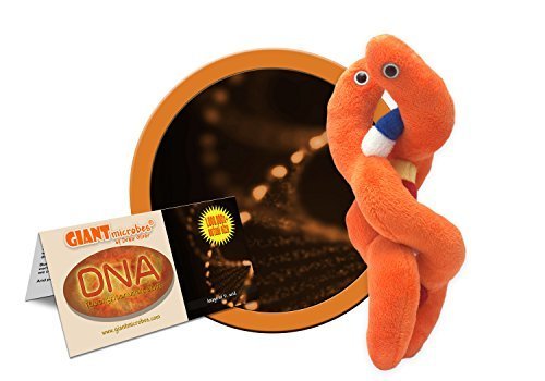 GIANTMicrobes - DNA (Deoxyribonucleic acid) Educational Plush by Giant Microbes