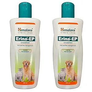 JK International Himalaya Erina Ep Pack of 2,orange