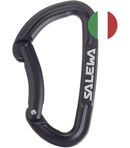 Gear Talk: The HMS Rondo Autolock carabiner by Austrialpin - climbing mag