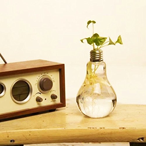 Da.Wa Glasvase in Form einer Glühbirne Blumenvase Pflanzen Micro Landschaft Eco Transparent Bottle,12 x 8 cm - 9