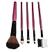 Malloom® Fashion Multifunctional 5 Pieces Pro Foundation Makeup Tools Cosmetic Brush Blending Face Eye Brush Kit Sets (Pink)