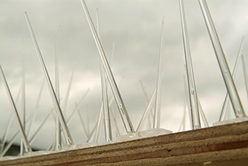 Defender Wide Kunststoff-Vogel- und Taubenspikes 5-Meter-Pack - 5