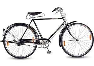 hero royal gold cycle price