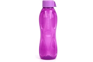 SIGNORA WARE Signoraware Sportfreund to Go Eco Bouteille écologique avec bouchon à visser pour boissons gazeuses 1 l Taille XL (violet) 1000 ml