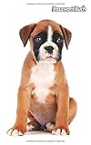 Passwort Buch: Deutscher Boxer | 109 Seiten | Für 432 Einträge | Webseite, Benutzername, Passwort und Notizen | 12,7 cm x 20,3 cm Taschenbuch | Internet Security | Organizer | Journal | Notizbuch by