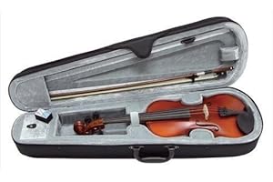 GEWAPURE Gewa Pure violino EW 4/4 + Larsen corde, custodia, archetto, colofonia