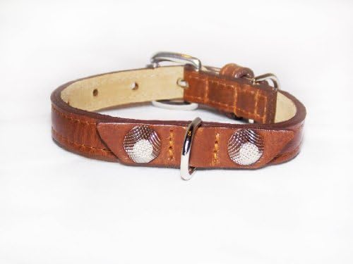 Balencioochee Staight Dog Collar,  Rivets, Small Size 9-11, Brown with Silver Rivets