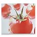 Produktbild Zeller Tomate, Glas 56x50 cm Herdblende-/Abdeckplatte, 56 x 50 x 0.78 cm