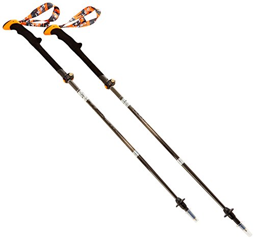 Leki Micro Vario Carbon - Bastón para senderismo (110-130 cm), color 