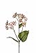 Produktbild artplants Set 6 x Künstliche Wasserdost Dayton, rosa, 35 cm - Deko Eupatorium/Kunstblume