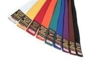 Playwell Martial Arts Solid Coloured 100% Cotton Grading Belts 360cm