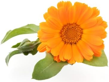 Luxury Calendula Skin Care Cream 60ml