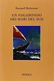 Un vagabondo dei mari del sud