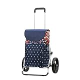 Cool: geräumige Falttasche mit 41 Liter Volumen und integriertem Thermofach (12 Liter) | leicht abnehmbare Tasche durch Klettband