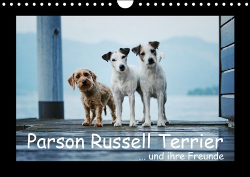Parson Russell Terrier (Wandkalender 2015 DIN A4 quer): ...und ihre Freunde (Monatskalender, 14 Seiten)