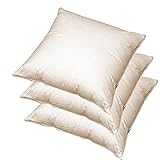 3 x Sofa Federkissen 45x45 cm (echte Federn) robust & formstabil 3 x Sofa Federkissen 45x45 cm (echte Federn) robust & formstabil