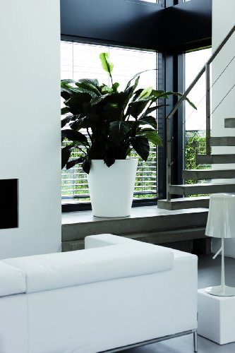 elho Pure Straight Round Pflanzgefäß 50cm – Weiss - 9