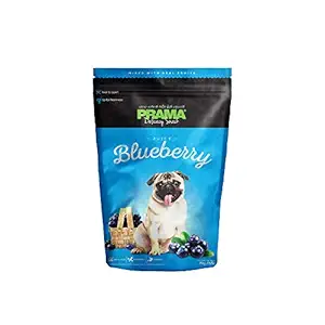 Nootie Prama, Blueberry,70 g (Pack of 2)