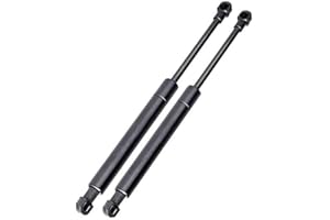 GENERICO 2 Pistoncini Ammortizzatori Cofano Bagagliaio Posteriore Portellone Baule Molle a Gas Specifiche per tutte le Panda modello 169 prodotte dal 09/2003 al 01/2012 - MG169/5