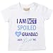 I'm Not Spoiled My Grandad Just Loves Me Boys Tshirt Baby Toddler Kids Available in Sizes 0-6 Months to 14-15 Years Grandson