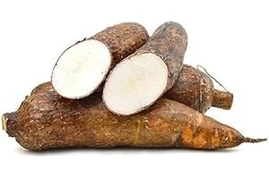 SEELANS SUPERSTORE Seelans Fresh Cassava | Maravallli Kizhangu | Root vegetable | Manihot esculenta | Healthy Vegetable | Indian Origin | Approx.700G | Next Day Shipping