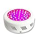 Produktbild WLBRIGHT 50 * 1W Anlage Lampe, UFO Full Spectrum Pllant Wachstum Füllen Licht Lampe, Indoor Gemüse Blume Produktion Beleuchtung