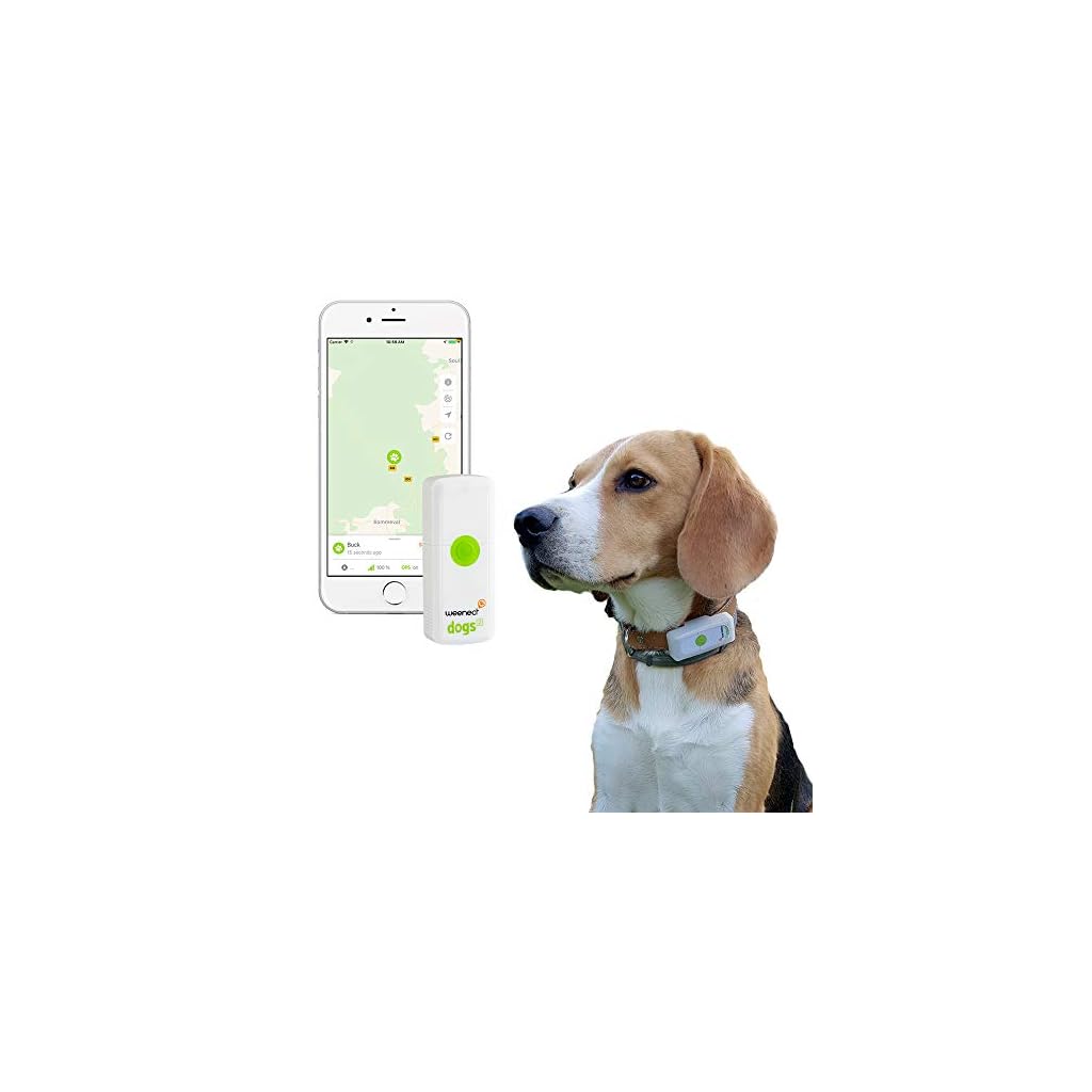 Tractive GPS Pet Tracker Dog Gadgets Store