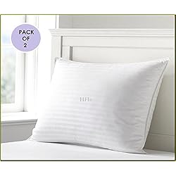 Urban Arts (Pack Of 2) Premium Pillows- 16 X 26 Inches- White