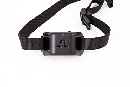 PetTec-Remote-Vibra-Trainer-Educational-collar-with-remote-control-for-sound-signal-or-vibration-250m-range