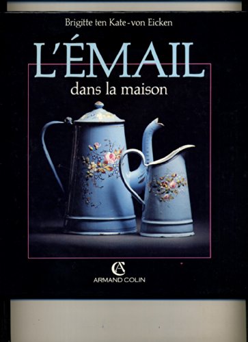 couverture de : L' &eacute;mail dans la maison