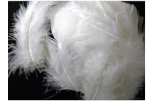 s m sas Environ 25 Plumes Coloris au Choix Deco fête Mariage Costume déguisement (Blanc)