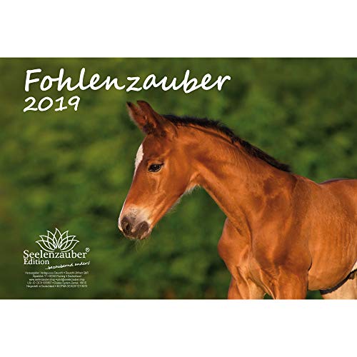Download Zauber poulain – Format A4 – Premium Calendrier 2019 – Cheval – Equitation – – Hengst – jument avec poulain – Coffret cadeau avec 1 carte de vœux et 1 carte de Noël – Édition âme magique Download Zauber poulain – Format A4 – Premium Calendrier 2019 – Cheval – Equitation – – Hengst – jument avec poulain – Coffret cadeau avec 1 carte de vœux et 1 carte de Noël – Édition âme magique