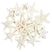 Produktbild Yixuan LLC Seestern, gemischte Seestern, natürliche, Bunte Muscheln, perfekt für Hochzeit, Strand, Motto-Party, Heimdekoration, Basteln, Aquarium,Fischernetzdeko, 20 Stück (20pcs)
