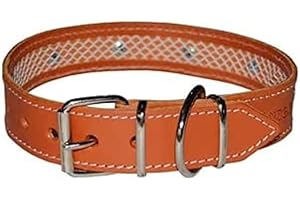 TUYNEC - Unique Collier pour Chien pour protéger Le Collier Anti puces pour Chien - Collier Chien Cuir de première qualité pour garantir la durabilité Collier Anti puces pour Chien