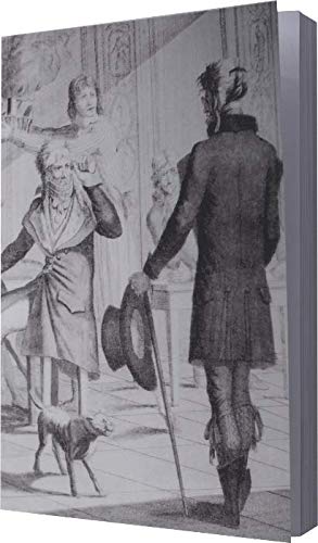 Télécharger Merveilleuses et merveilleux livre En ligne