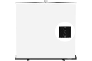 【Breiterer Stil】 RAUBAY 200x210cm Großer zusammenklappbarer Weiß Hintergrund White Screen, tragbarer ausziehbarer Panel Fotohintergrund mit Ständer für Videokonferenzen, Fotostudio.