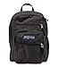 Produktbild JANSPORT Rucksack Big Student weiß JTDN76XD