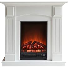 Suchergebnis auf Amazon.de für: elektrokamin