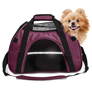 Furhaven Pet Large Pet Tote with Weather Guard, Raspberry