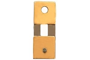 OCEANLEND Clock Pendulum Leaf, Blocked Assorted Clock Pendulum Suspension Springs, Vintage Old Clock Swing Leaf Hanging Clock Parts, Easy Installation(21×8mmdouble piece)