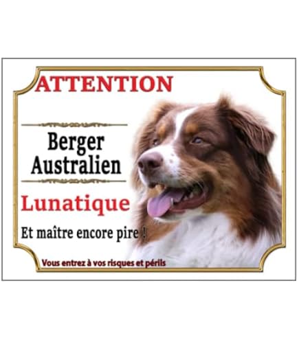 Pancarte Humour Attention Chien Lunatique - Berger Australien & Maître Encore Pire - Plaque Aluminium 15x20 Cm