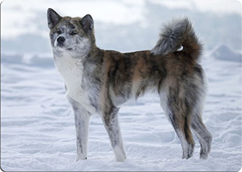 +++ AKITA INU - SCHNEIDEBRETT Dekoteller Glasbrett Dekoglas - AKI 06