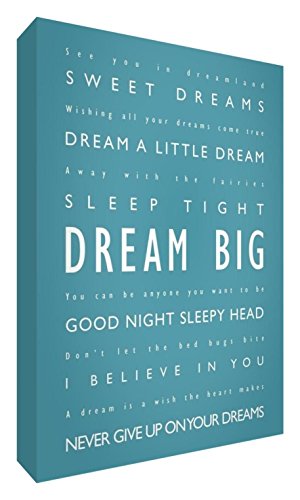Feel Good Art Gallery Wrapped Box Canvas in Modern Typographic Design (30 x 20 x 4 cm, Teal, Dream Big)