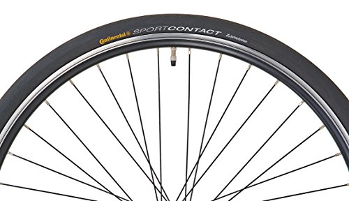 PROPHETE Singlespeed-Bike 28″ Belt-Drive - 6