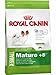 Produktbild Royal Canin Hundefutter X-Small Mature +8, 3 kg, 1er Pack (1 x 3 kg)