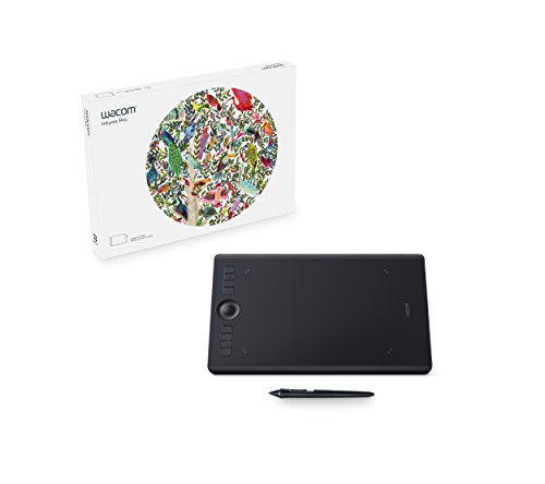 Wacom Intuos Pro – Grafiktablett (USB, Bluetooth, 8000 Level-Druck, mit Kugelschreiber, IT/FR/NL/ES-Sprachversion) Größe L, schwarz - 8