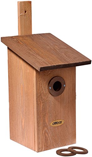 dobar 22415e Nistkasten für Vögel, aus Holz (Kiefer, Massivholz), für Garten, Balkon, Wand, 3 variable Einfluglöcher, mit Beobachtungsmöglichkeit, Farbe: Braun – Nisthilfe Vogelhaus - 6