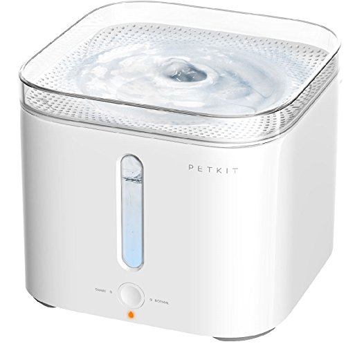 PETKIT Smart Pet Drinking Fountain Eversweet pour Chien