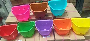 Cappl Verticell Vertical Garden Wall Hanging Pot (Pack of 6,Multi)